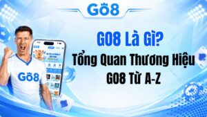 GO8 Là Gì? Tổng Quan Thương Hiệu GO8 Từ A-Z